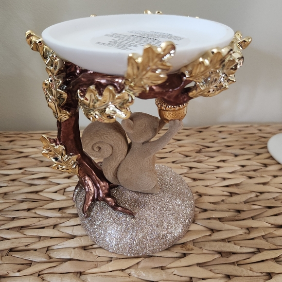 🌰New Bath and Body Works Squirrel Fall 3 Wick Candle Holder & Candle Decor 2024 - Picture 6 of 10